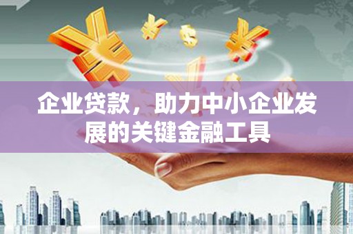 庄浪企业贷款，助力中小企业发展的关键金融工具