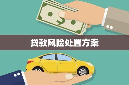庄浪贷款风险处置方案