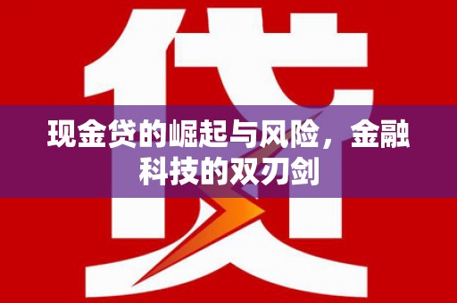 庄浪现金贷的崛起与风险，金融科技的双刃剑
