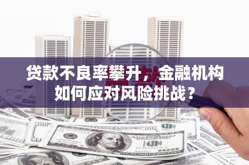 庄浪贷款不良率攀升，金融机构如何应对风险挑战？