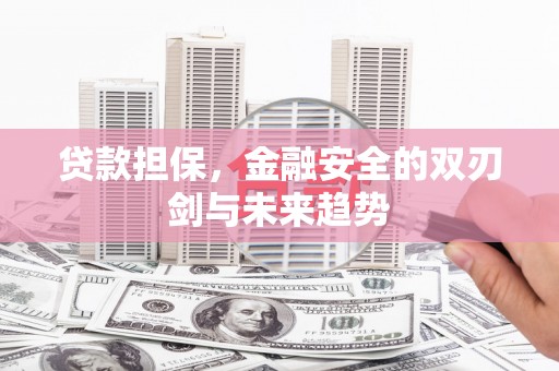 庄浪贷款担保，金融安全的双刃剑与未来趋势
