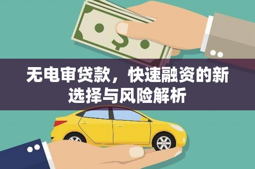 庄浪无电审贷款，快速融资的新选择与风险解析