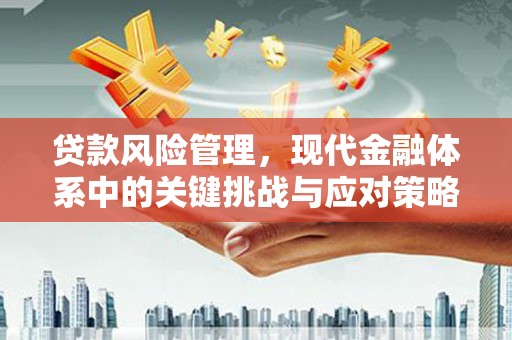 庄浪贷款风险管理，现代金融体系中的关键挑战与应对策略