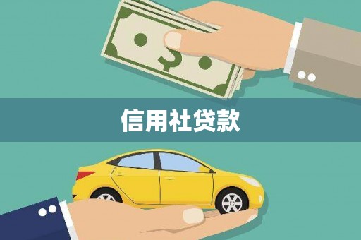 庄浪信用社贷款