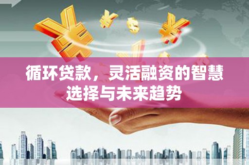 庄浪循环贷款，灵活融资的智慧选择与未来趋势