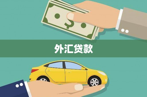 庄浪外汇贷款