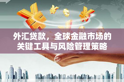 庄浪外汇贷款，全球金融市场的关键工具与风险管理策略