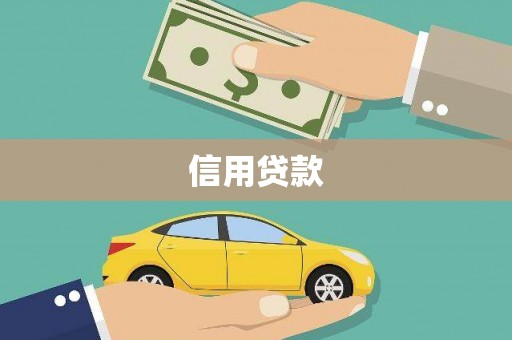 庄浪信用贷款