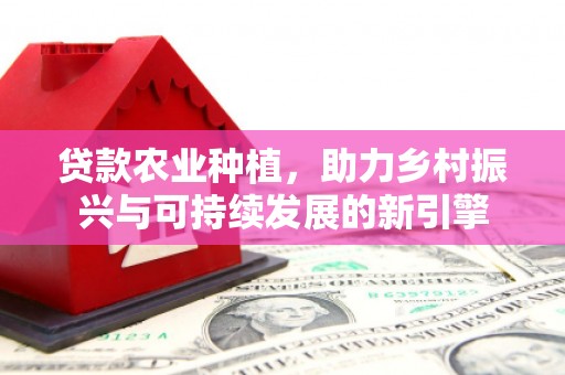庄浪贷款农业种植，助力乡村振兴与可持续发展的新引擎