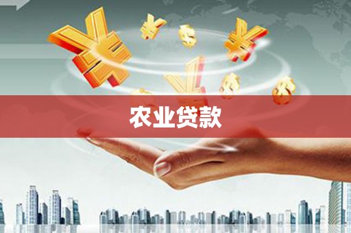 庄浪农业贷款