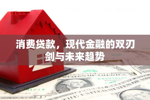 庄浪消费贷款，现代金融的双刃剑与未来趋势