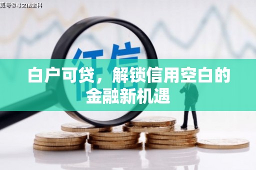 庄浪白户可贷，解锁信用空白的金融新机遇