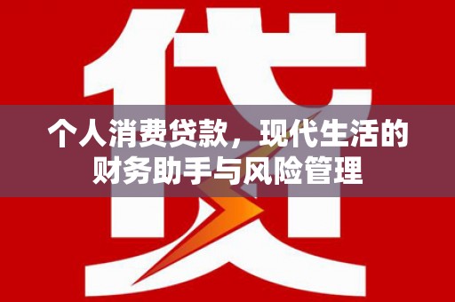 庄浪个人消费贷款，现代生活的财务助手与风险管理