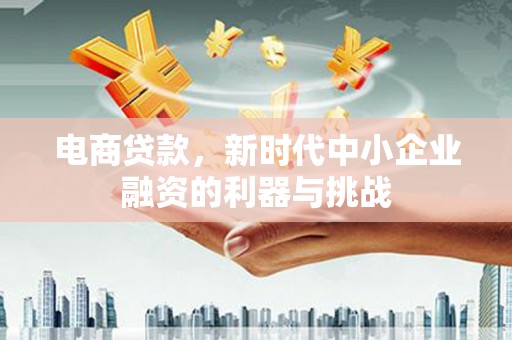 庄浪电商贷款，新时代中小企业融资的利器与挑战