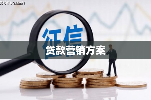 庄浪贷款营销方案