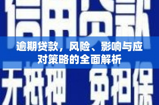 庄浪逾期贷款，风险、影响与应对策略的全面解析