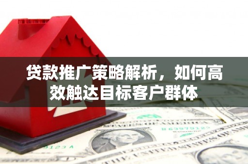 庄浪贷款推广策略解析，如何高效触达目标客户群体