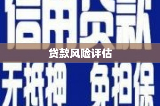 庄浪贷款风险评估