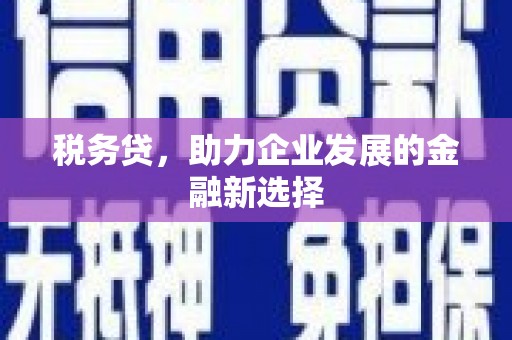 庄浪税务贷，助力企业发展的金融新选择