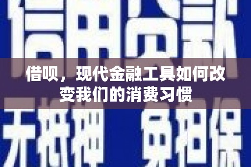 庄浪借呗，现代金融工具如何改变我们的消费习惯