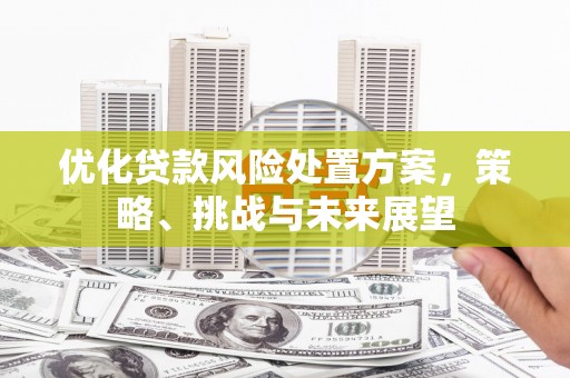 庄浪优化贷款风险处置方案，策略、挑战与未来展望