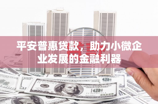 庄浪平安普惠贷款，助力小微企业发展的金融利器