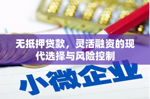 庄浪无抵押贷款，灵活融资的现代选择与风险控制