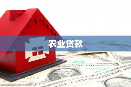 庄浪农业贷款