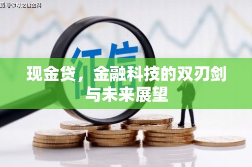 庄浪现金贷，金融科技的双刃剑与未来展望