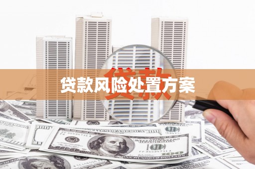 庄浪贷款风险处置方案