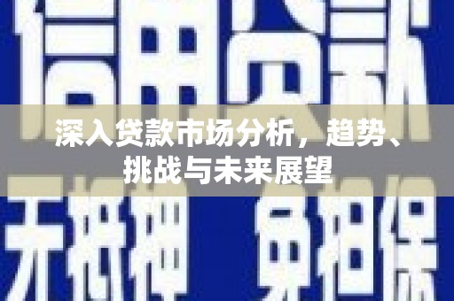 庄浪深入贷款市场分析，趋势、挑战与未来展望