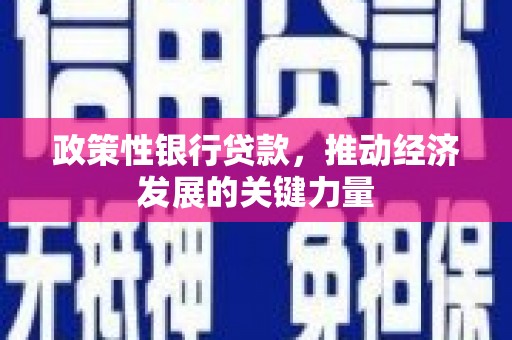 庄浪政策性银行贷款，推动经济发展的关键力量