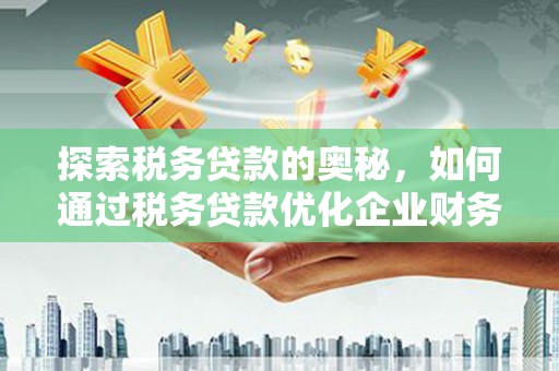 庄浪探索税务贷款的奥秘，如何通过税务贷款优化企业财务