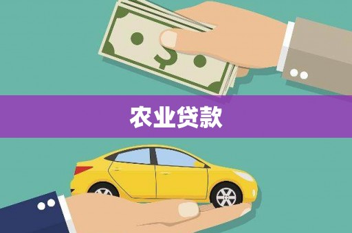 庄浪农业贷款