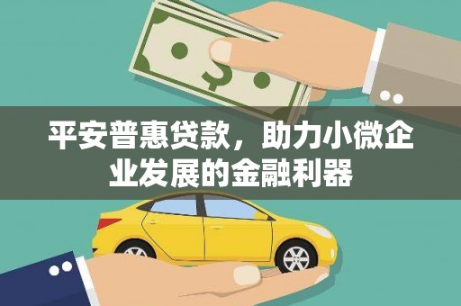 庄浪平安普惠贷款，助力小微企业发展的金融利器