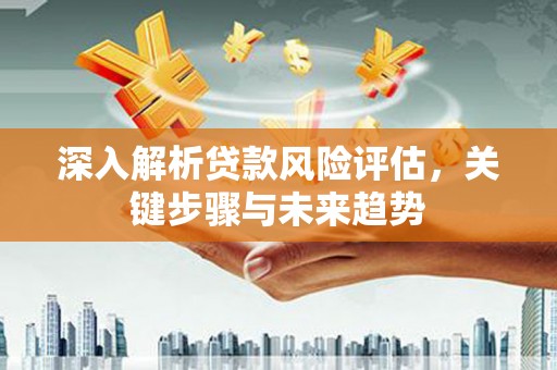 庄浪深入解析贷款风险评估，关键步骤与未来趋势
