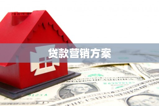 庄浪贷款营销方案