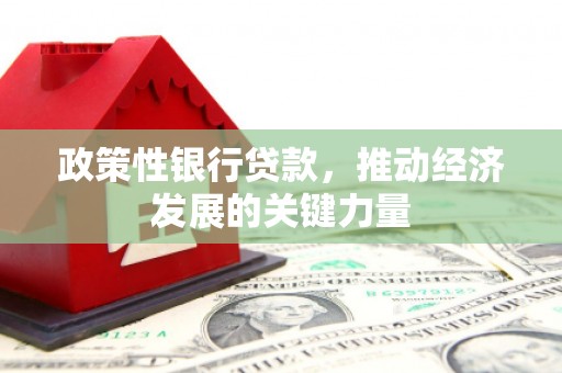 庄浪政策性银行贷款，推动经济发展的关键力量