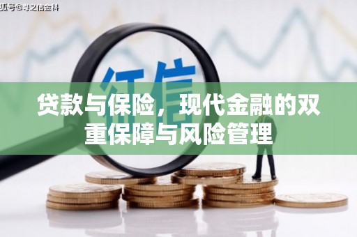 庄浪贷款与保险，现代金融的双重保障与风险管理