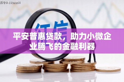庄浪平安普惠贷款，助力小微企业腾飞的金融利器
