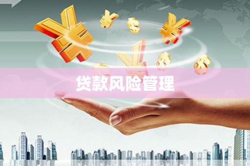 庄浪贷款风险管理