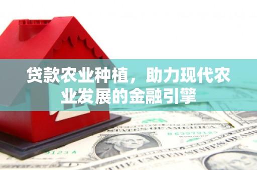 庄浪贷款农业种植，助力现代农业发展的金融引擎