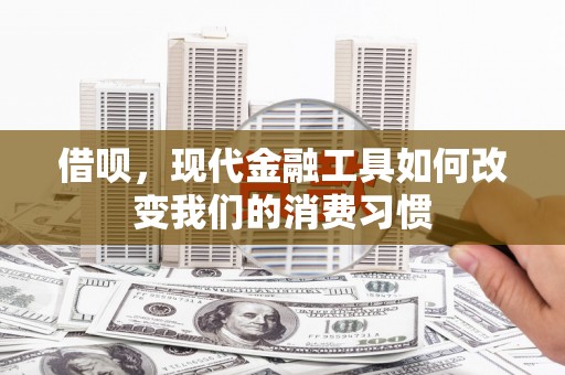 庄浪借呗，现代金融工具如何改变我们的消费习惯