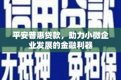 庄浪平安普惠贷款，助力小微企业发展的金融利器