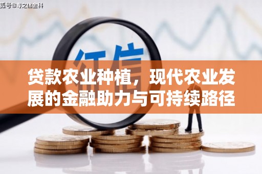 庄浪贷款农业种植，现代农业发展的金融助力与可持续路径