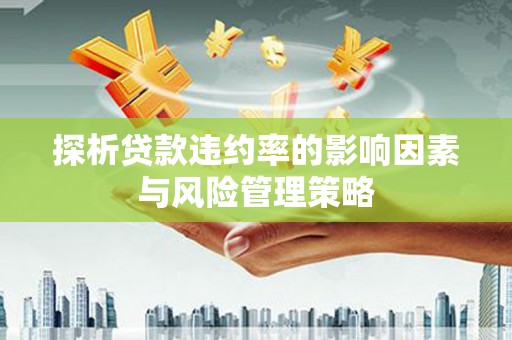 庄浪探析贷款违约率的影响因素与风险管理策略