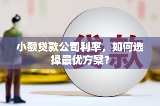 庄浪小额贷款公司利率，如何选择最优方案？