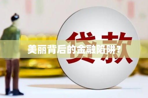 庄浪美丽背后的金融陷阱？