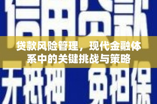 庄浪贷款风险管理，现代金融体系中的关键挑战与策略
