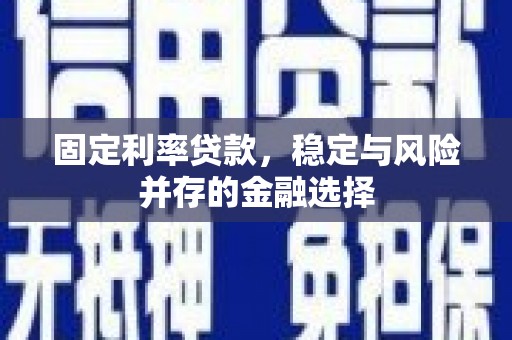 庄浪固定利率贷款，稳定与风险并存的金融选择